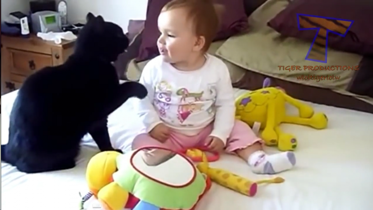 Katter og babyer i skjønn forening :)
