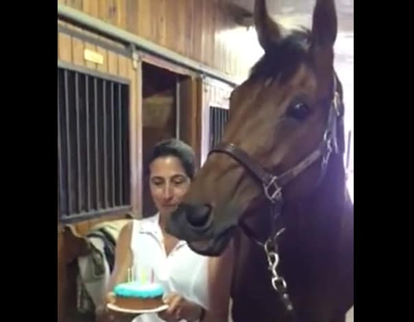 Hesten JD blåser ut lysene på kaka :)