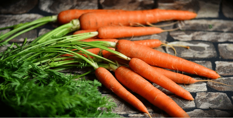 Ikke fall for usunne fristelser: Tips til sunn høst-mat